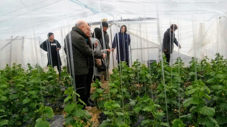 field trials - Fertilizers show-Research and Development - Axeb -European projects - Conferences-China-Shara Expo-Adjuvants-biostimulants-specialized fertilizers-plant nutrition-yields-sustainable agriculture-productive agriculture-optimize crop yields-sustainable farms-fertilizers-Axeb-Research-Special Fertilizers-humic-foliar