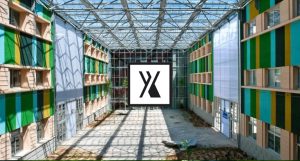 AXEB biostimulants--specialized-fertilizers---plant-nutrition-yields-sustainable-agriculture---productive-agriculture---optimize-crop-yields---sustainable-farms---fertilizers (3)