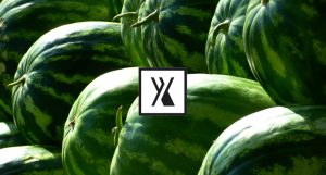 AXEB biostimulants--specialized-fertilizers---plant-nutrition-yields-sustainable-agriculture---productive-agriculture---optimize-crop-yields---sustainable-farms---fertilizers (4)