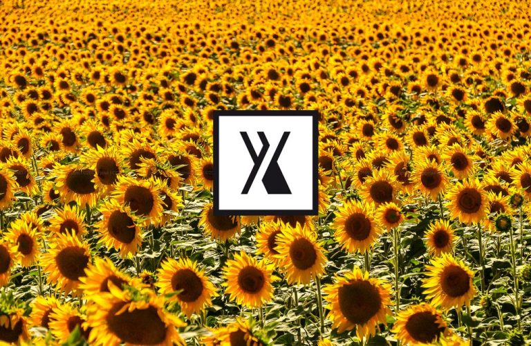 AXEB biostimulants--specialized-fertilizers---plant-nutrition-yields-sustainable-agriculture---productive-agriculture---optimize-crop-yields---sustainable-farms---fertilizers (3)